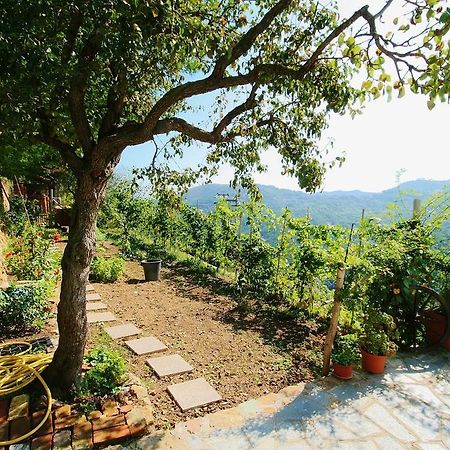 Agriturismo Costamagna Ноли Екстериор снимка