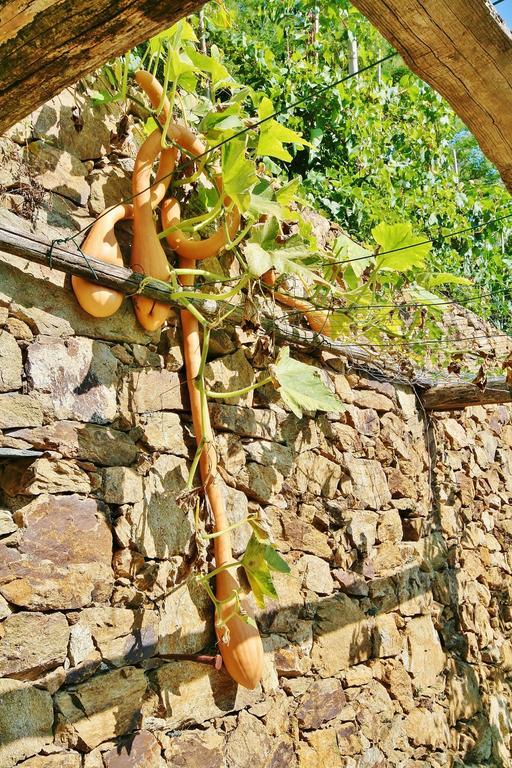 Agriturismo Costamagna Ноли Екстериор снимка