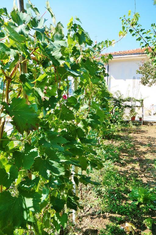Agriturismo Costamagna Ноли Екстериор снимка